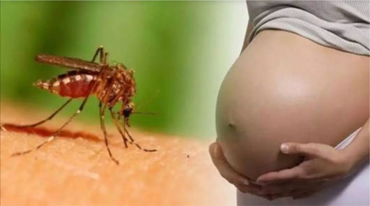 夏天孕妇爱招蚊子叮，会对胎儿有害吗？