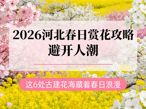2026河北春日赏花攻略｜避开人潮，这5处古建花海藏着春日浪漫