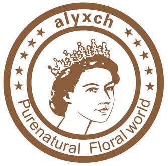 alyxch姿欣语